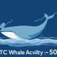 Bitcoin whale deposits decreasing signals reduced sell pressure on cryptocurrency markets