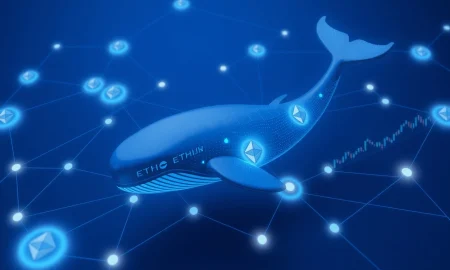 Ethereum whale accumulation analysis showing institutional buying pressure and supply dynamics