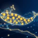Analysis of 250 million USDC mint revealing institutional crypto strategies and market liquidity signals