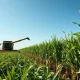 Sugarcane harvest in Brazil impacting global sugar commodity prices.