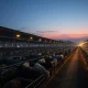 Cattle in a feedlot with commodity market data overlay showing futures prices.