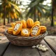 Cocoa prices consolidate as Ivory Coast farmers harvest pods amid shifting market conditions