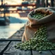 Coffee plantation harvesting during supply disruptions affecting global coffee prices in 2026