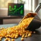 Corn futures market rally with golden corn kernels representing agricultural commodity trading surge