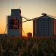 Corn futures and crude oil prices decline as shown on a grain elevator price board.