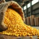 Corn futures rally on Wednesday as market reacts to trade and ethanol data.
