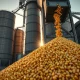 Corn futures market analysis with USDA report data for agricultural commodity traders