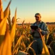 Analysis of corn futures market recovery and USDA report impacts on agricultural commodity prices.