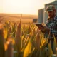Analysis of corn futures price action and WASDE report impacts on agricultural markets.