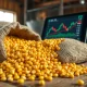 Corn futures market rally driven by crude oil gains and export sales data in March 2026.