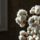 Analysis of declining cotton prices on Wednesday amid commodity market trends.