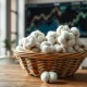 Raw cotton bolls representing the sharp decline in cotton futures prices on Thursday, May 8, 2025.