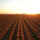 Farmland Partners Inc agricultural real estate investment landscape showing productive farmland