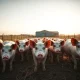 Lean hog market analysis showing firm prices and supply data for March 2026.