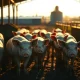 Market-weight hogs at a farm, representing the strength in lean hog futures and commodity markets.