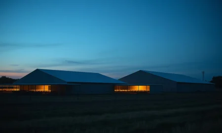 A modern hog farming facility at dusk, representing the livestock commodity market.