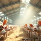 Lean hog futures trading lower on March 21, 2026, amid USDA market reports.