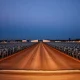 Aerial view of a cattle feedlot representing the livestock market discussed in the article.
