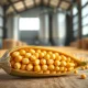 Ripe soybeans representing the agricultural commodity market rally on March 9, 2026.