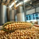 Soybeans extending their price rally in March 2026 agricultural commodity markets.