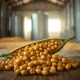 Close-up of soybeans representing the commodity's price movement and WASDE report data on March 10, 2026.