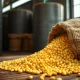 Soybeans spilling from a sack, representing the commodity rally and agricultural market analysis for March 2026.