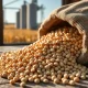 Soybeans rally in March 2026 agricultural markets with significant price gains