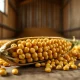 Close-up of soybeans representing the commodity's significant price rally in March 2026 futures markets.