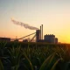 Sugar cane field and processing mill at dusk as sugar prices surge.