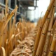 Sugar cane processing at industrial mill as crude oil rally impacts ethanol production decisions
