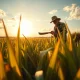 Sugar cane harvesting in Brazil affecting global sugar prices and commodity markets in 2026