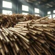 Raw sugar cane stalks in a warehouse, representing global sugar commodity markets.