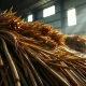 Raw sugar cane stalks in a warehouse, representing global sugar commodity markets.