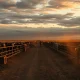 Cattle in a feedlot with futures prices declining on April 21, 2026.