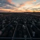 Cattle in a feedlot with a focus on livestock commodity markets.