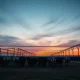Cattle in a feedlot as futures prices extend their decline.
