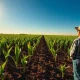 Farmer standing in a cornfield with young plants under a blue sky, representing strong corn planting progress.