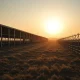 A modern hog farming facility at dawn, representing the lean hog futures market.