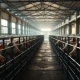 A modern hog farming facility representing the lean hog futures market.