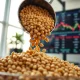 Soybeans being poured with a futures market screen in the background.