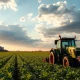 Soybean field with tractor planting, representing soybean futures market