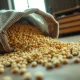 Soybeans spilling from a sack, representing commodity market trading.