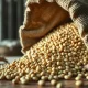 Soybeans spilling from a sack, representing commodity market activity.