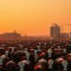 Cattle in a feedlot at sunset, representing the livestock futures market rally on May 6, 2026.