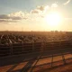 Cattle in a feedlot under a partly cloudy sky, representing the livestock market