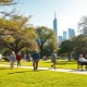 Older adults enjoying a sunny afternoon in a city park with a skyline in the background