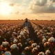 Cotton field at sunset with farmer walking between rows, representing agricultural commodity markets