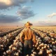 Farmer standing at edge of cotton field under cloudy sky during late afternoon