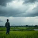 Farmer in flooded paddy field under dark monsoon clouds in rural India, symbolizing economic risks