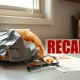 Bag of snack mix and recall notice on a kitchen counter